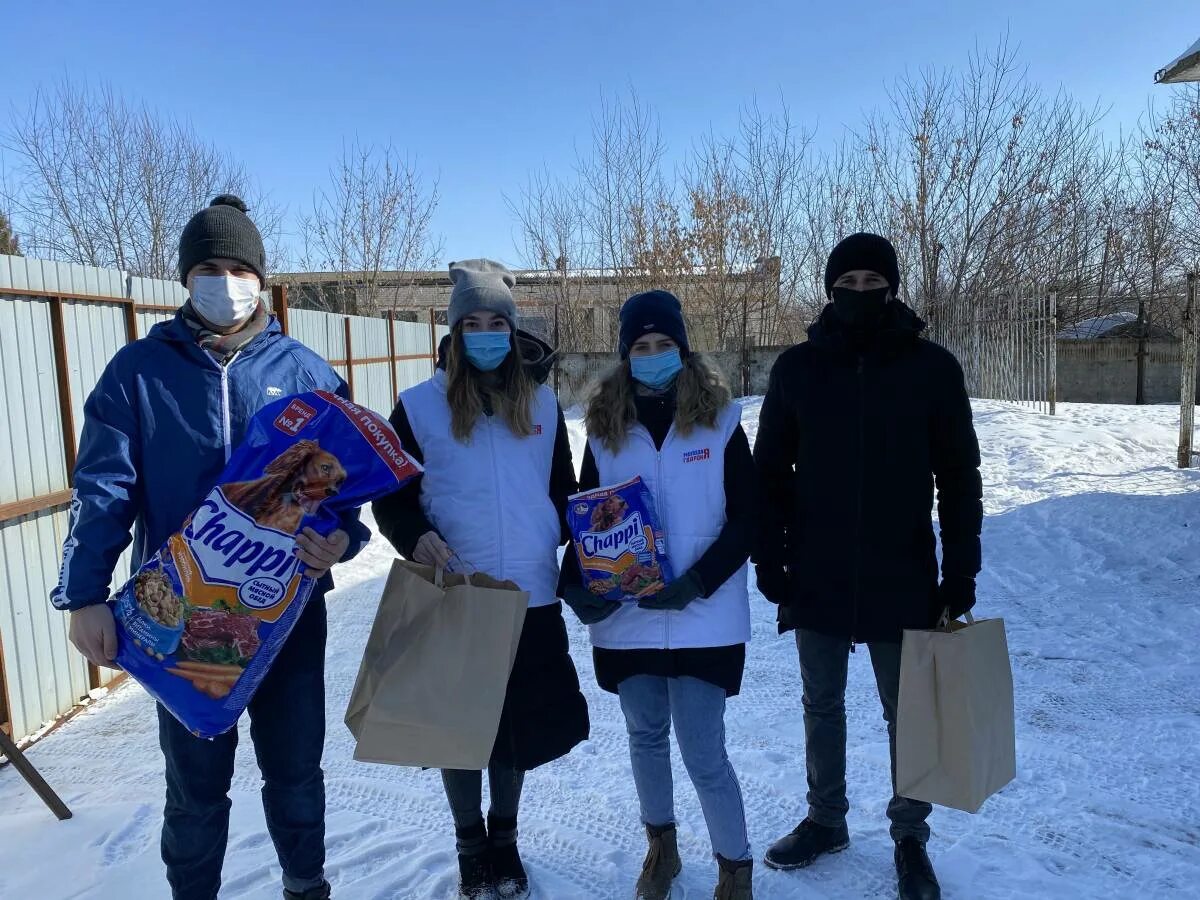 Волонтеры помогающие бездомным. Волонтеры в приюте для животных. Волонтерство в приютах. Волонтёры бездомных животных. Волонтеры и бездомные.