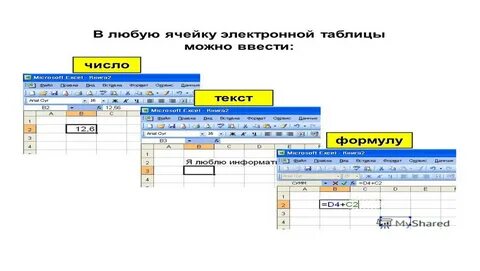 Работа с таблицами в презентации ImmunoCap.ru