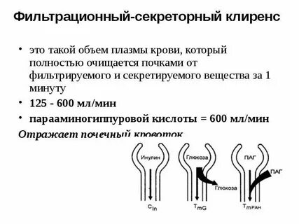 Биохимия почек