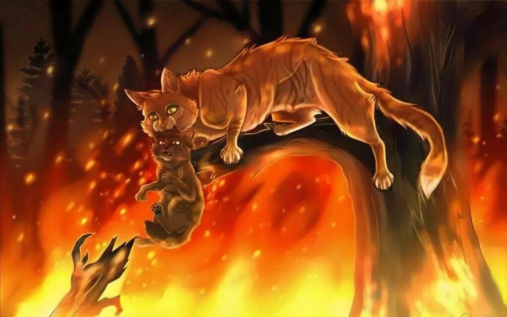 Коты воители огненная река. Коты воители огненная река читать. Ashfur. Коты воители огни звезд. Огненная река (цикл "видение теней").