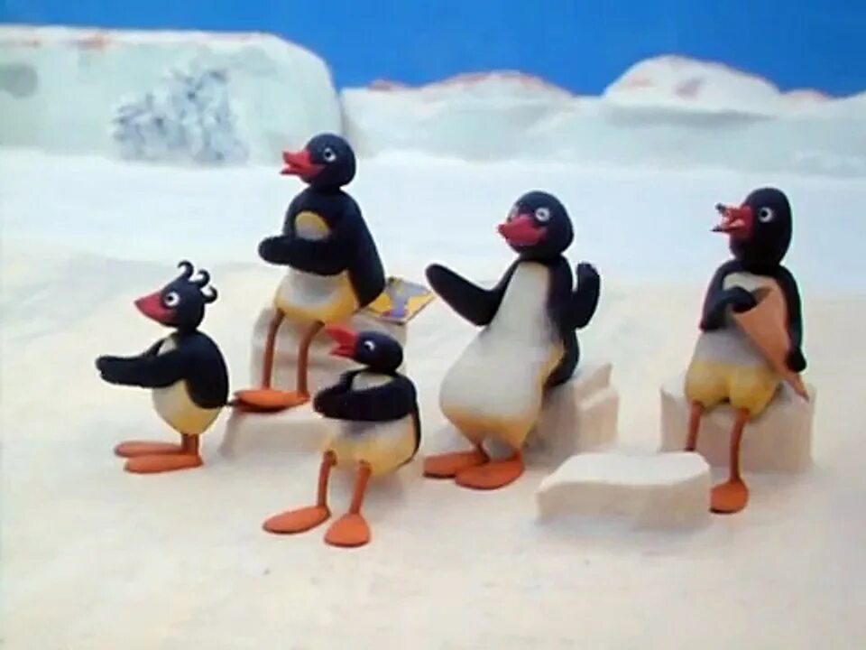 Видео пингу. Pinguin Pingu. Пингу шоу. Пинг цирк.