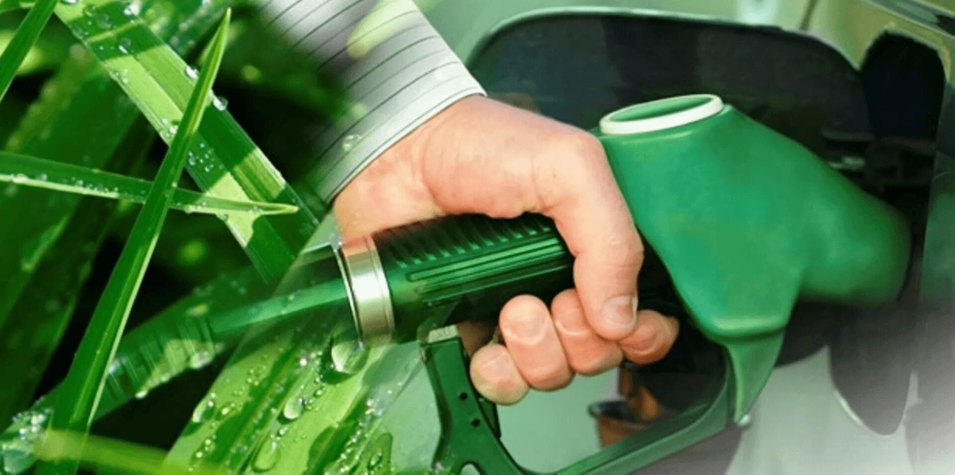 Биодизель биоэтанол. Биотопливо( с13н24). Биоэтанол, биодизель, бионефть. Биотопливо для автомобилей. Использование биотоплива