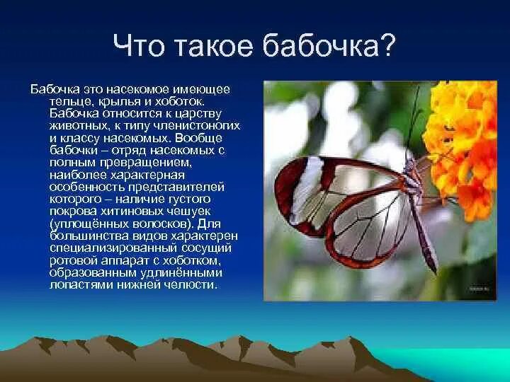 Класс насекомые бабочки. Бабочки для презентации. Отряд насекомых бабочки. Бабочка это насекомое или.