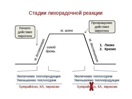 Лизис температуры