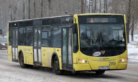 Автобус олимп