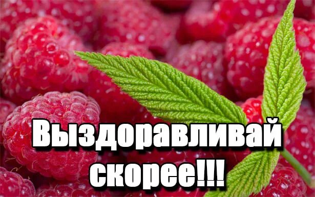 Любимый какой быстрее