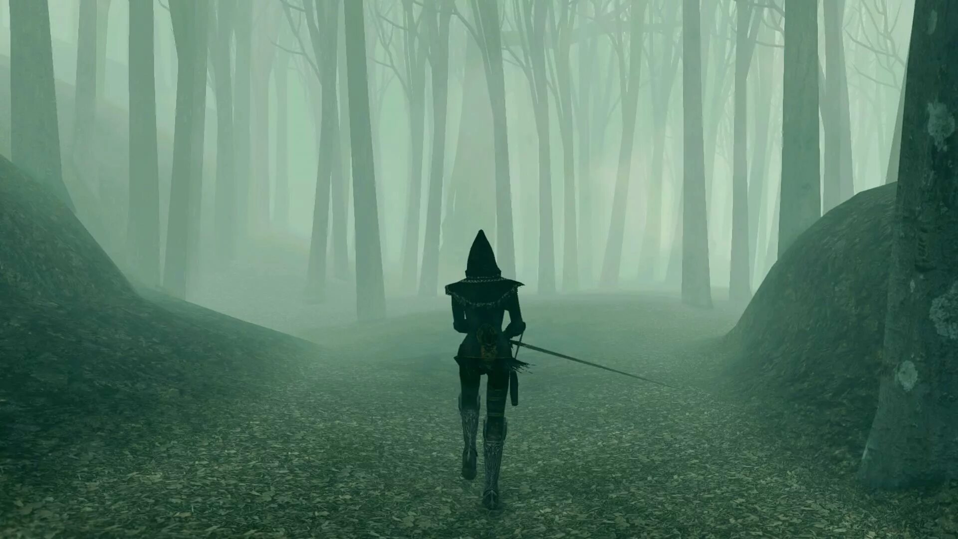 Темнолесье 2. Темнолесье dark souls 2. dark souls 2 туманный лес. дарк соулс 2 лес. dark souls 2 туманный лес карта.