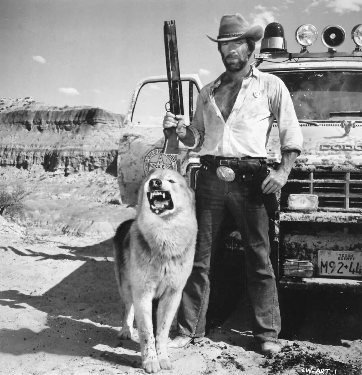 Чак норрис одинокий волк маккуэйд. Чак норрис одинокий волк. Чак волки. Чак волки. Чак волки.