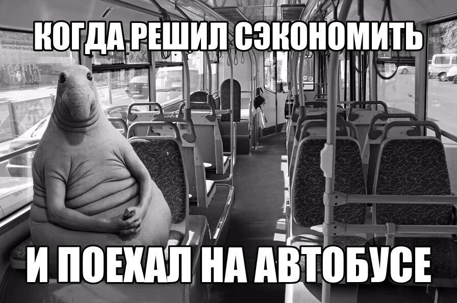 Ждать следующего автобуса. Ждун в автобусе. ждать автобус. ждун ждет автобус.