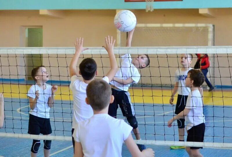 Занятия по волейболу. Человек играющий в волейбол. Волейбол в школе. Игра в волейбол в школе. Волейбол в школе.
