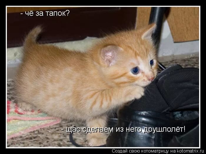 Что ты щас делаешь