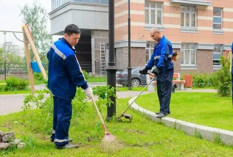 Уборка придомовой территории организация уборки территории