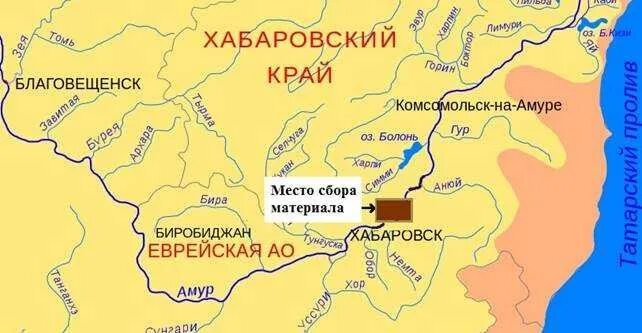 Амур в какое море. Река Амур на физической карте. Речной бассейн реки Амур. Схема реки Амур. Река Амур карта географическая.