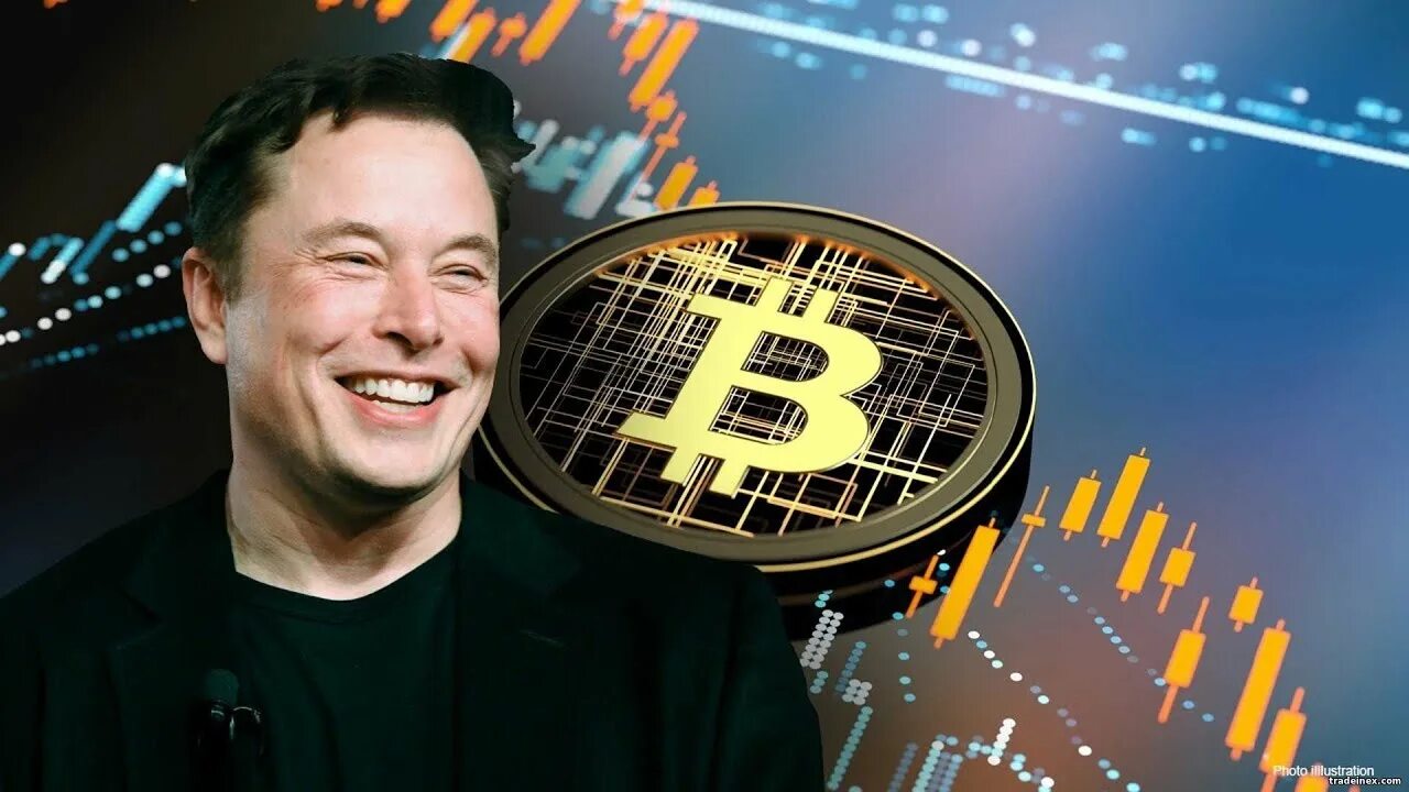 Илон маск биткоин прогноз. Elon musk crypto. elon musk bitcoin. илон маск btc.