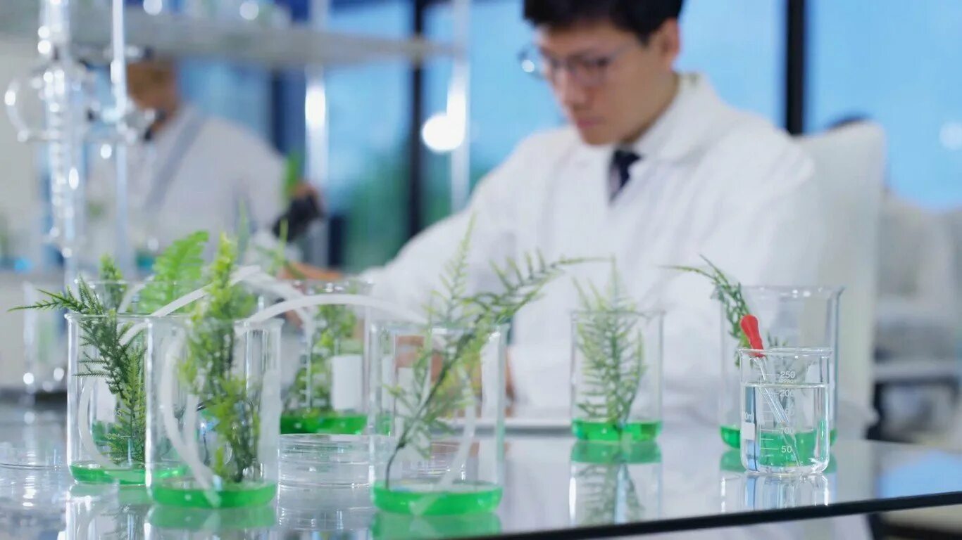 Высокие биотехнологии. Зеленая биотехнология. Биотехнология растений. Растения в пробирках. Биологические исследования.