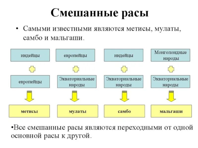 Смешанные расы людей