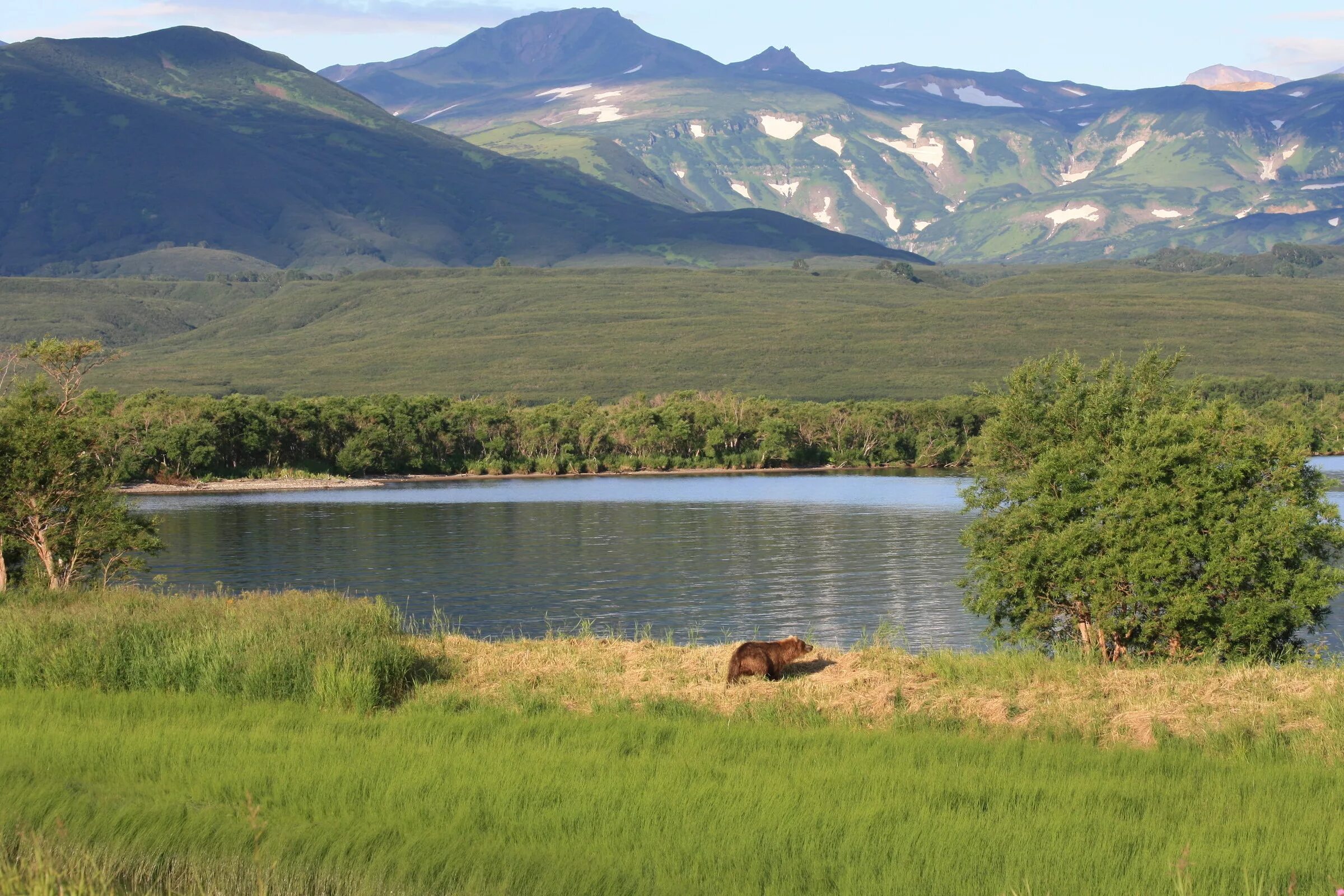 Карта особо охраняемые природные территории россии. «южно-камчатский» — кроноцкому заповеднику;. Карта охраняемых природных территорий россии. Федеральные заказники. Южно камчатский заповедник.