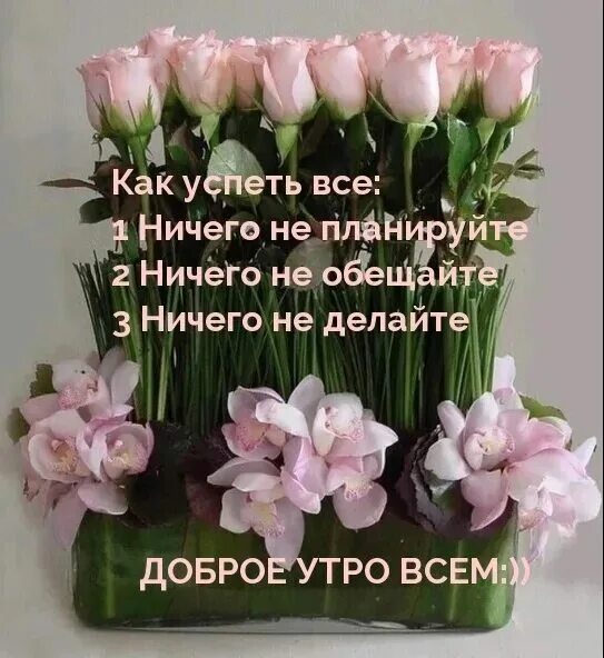 Желаю с утра здоровья и добра. Пожелания доброго утра и крепкого здоровья. Доброе утро с пожеланиями здоровья. Пожелания счастья и добра с утра. Пожелания добра и здоровья с утра.