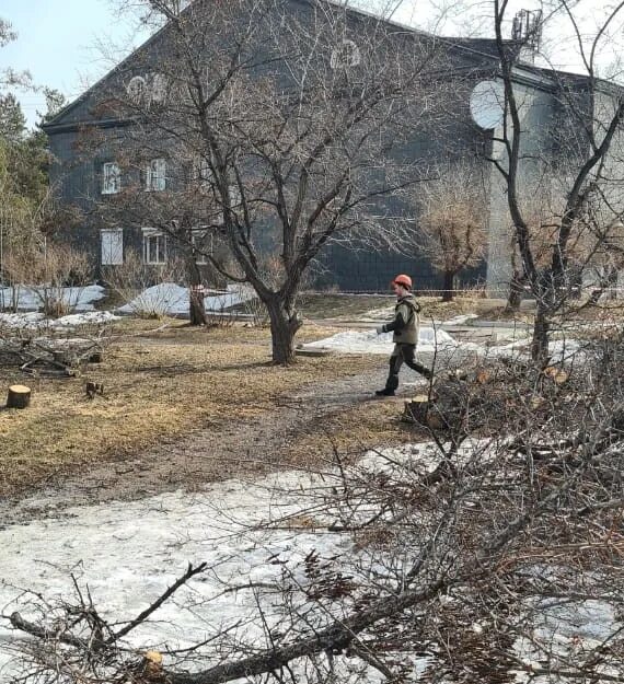 Арсеньево работа