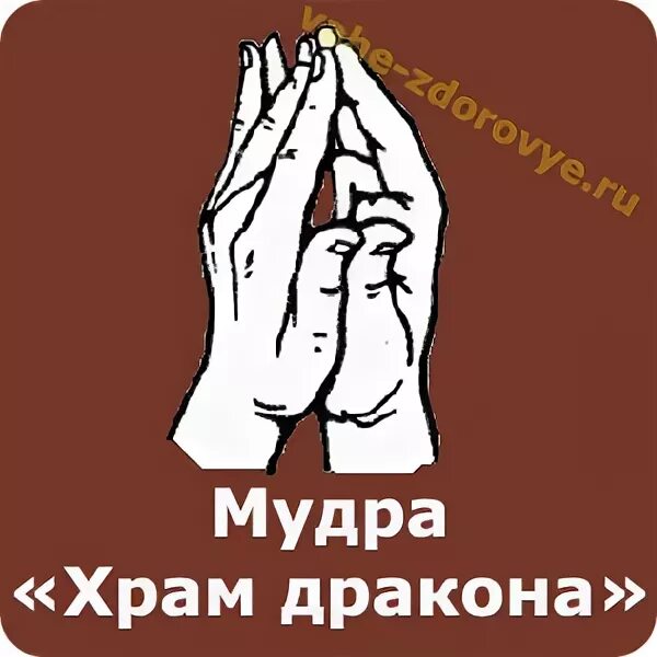 Мудра храм. Мудра храм дракона.
