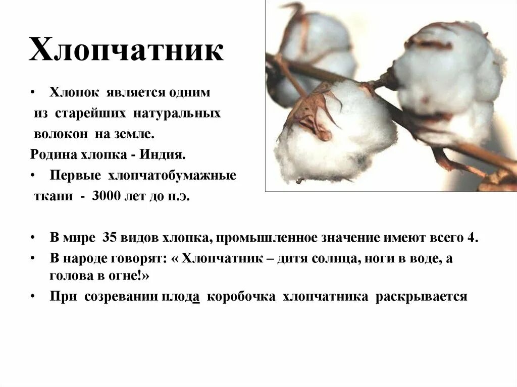 Правило хлопка