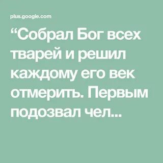 Всея твари содетелю