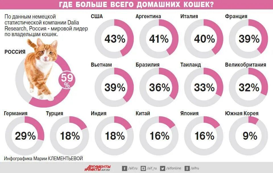 Где то сколько лет. Статистика домашних животных в России. Статистика кошек. Количество домашних животных. Сколько кошек в России.