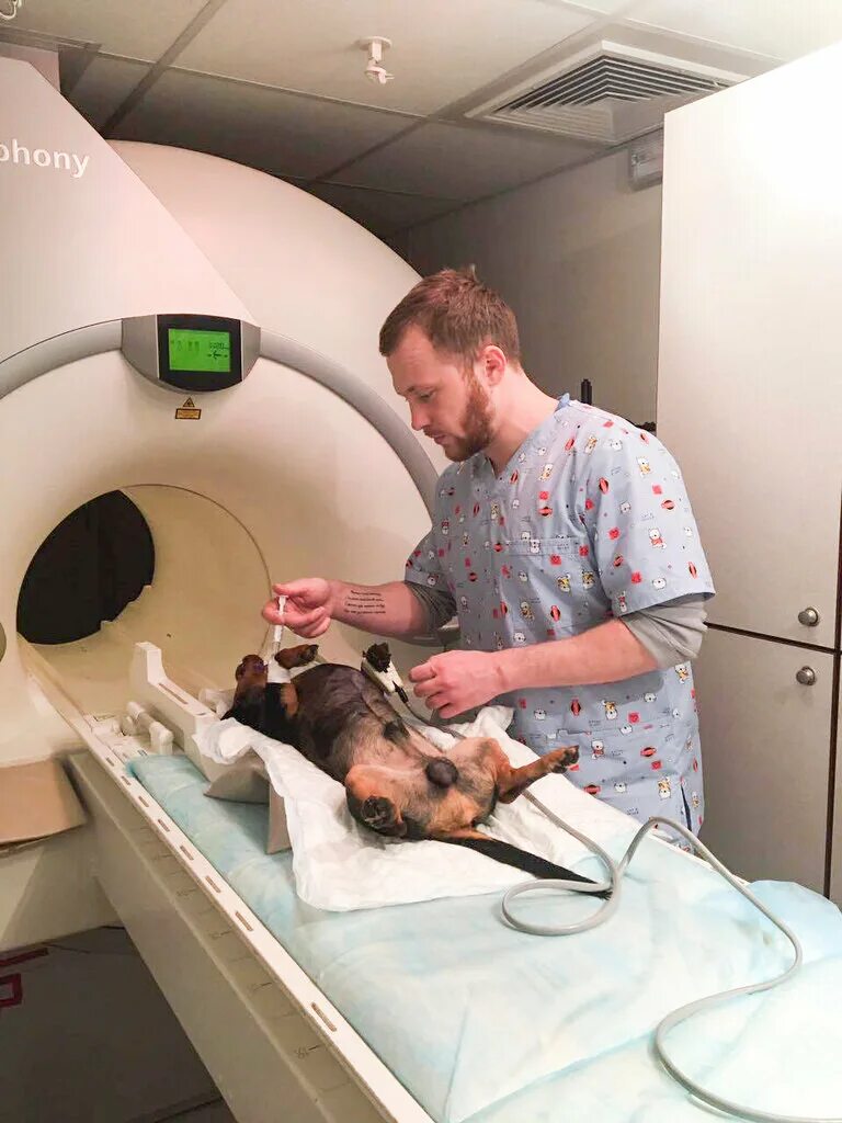 Аппарат мрт для животных. Ветеринарные мрт аппарат. Аппарат мрт для животных. Прайд ветеринарная клиника спб. Центр мрт для животных.