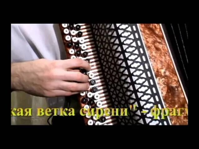 Баян ветка сирени. Одинокая ветка сирени ноты для баяна. Шахрай одинокая ветка сирени. Залкин одинокая ветка сирени. Залкин ветка сирени.