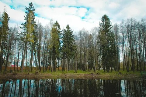 Малышково кострома