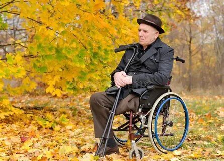 Дед в коляске