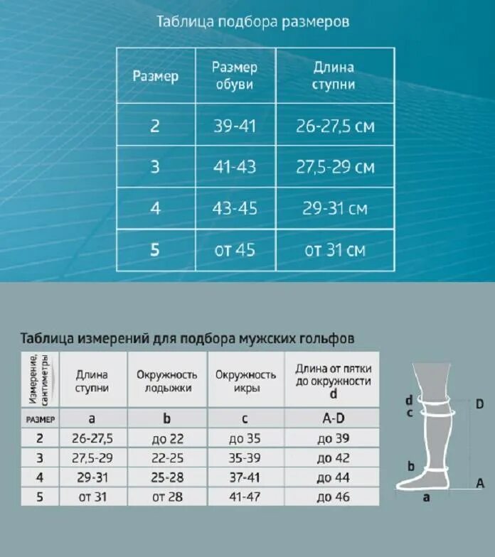 Компрессионные гольфы Orto для мужчин таблица размеров. Orto таблица размеров гольфы компрессионные. Гольфы компрессионные Орто таблица размеров. Таблица измерения компрессионных гольф. Как подобрать размер компрессионных гольф