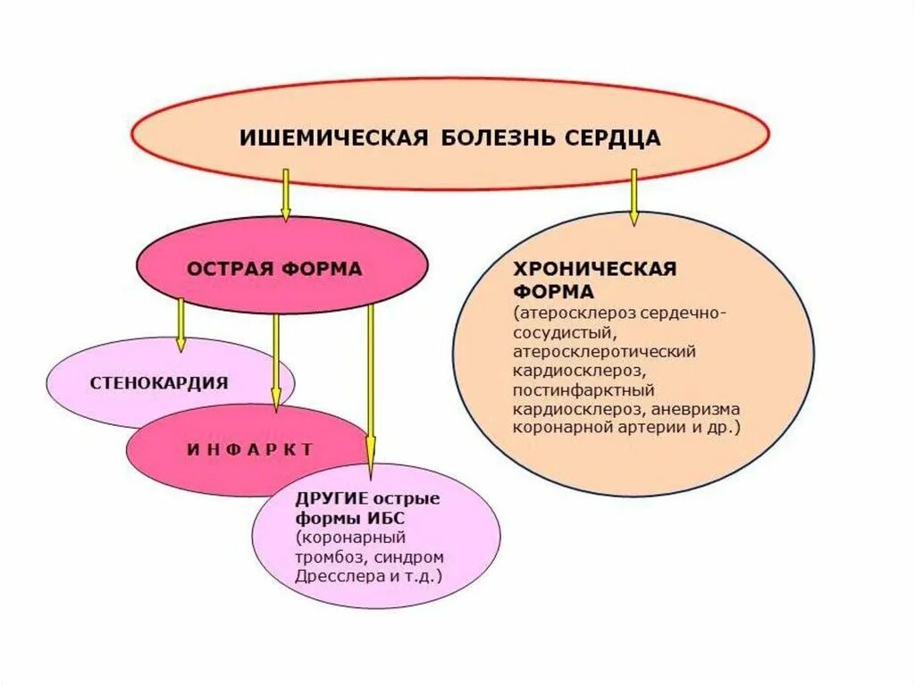 Ишемия т. Симптомы ишемической болезни сердца у женщин. Признаки ИБС У женщин. Ишемия сердца симптомы у мужчин. Острые формы ИБС.