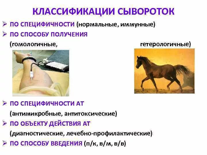 Введение сыворотки ребенку. Введение сыворотки ребенку