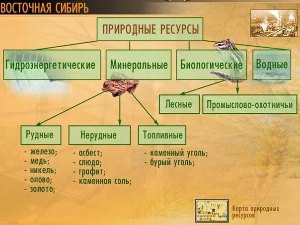 Природные ресурсы восточной сибири таблица 8 класс. Природные ресурсы Сибири. Природные ресурсы Восточной. Природные ресурсявосточной Сибири. Природные ресурсы Восточной Сибири схема.