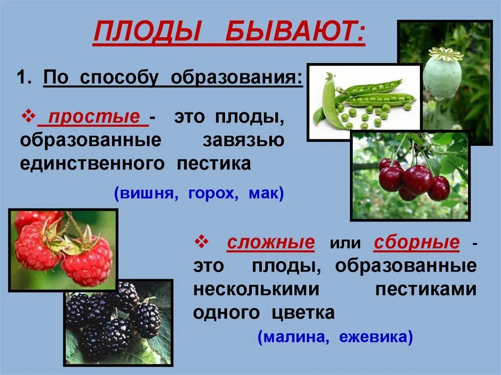 Давать плоды результаты