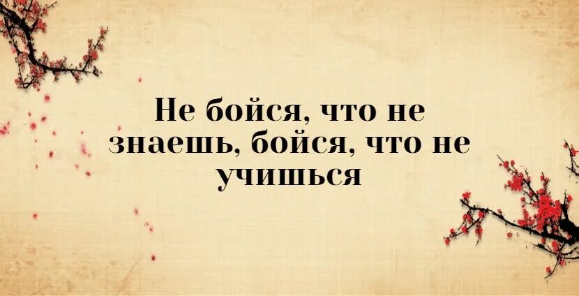 Живи сохраняя покой. Храни покой и цветы распустятся сами. Китайская пословица. Живи, сохраняя покой. Живи сохраняя покой придет.