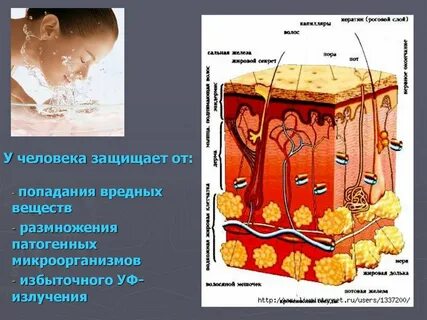 Слой защищающий
