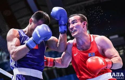 Бокс чемпионат казахстана