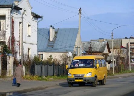Боровая кострома