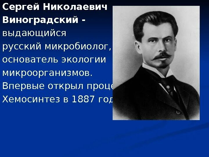 Виноградский в г. Виноградский в г