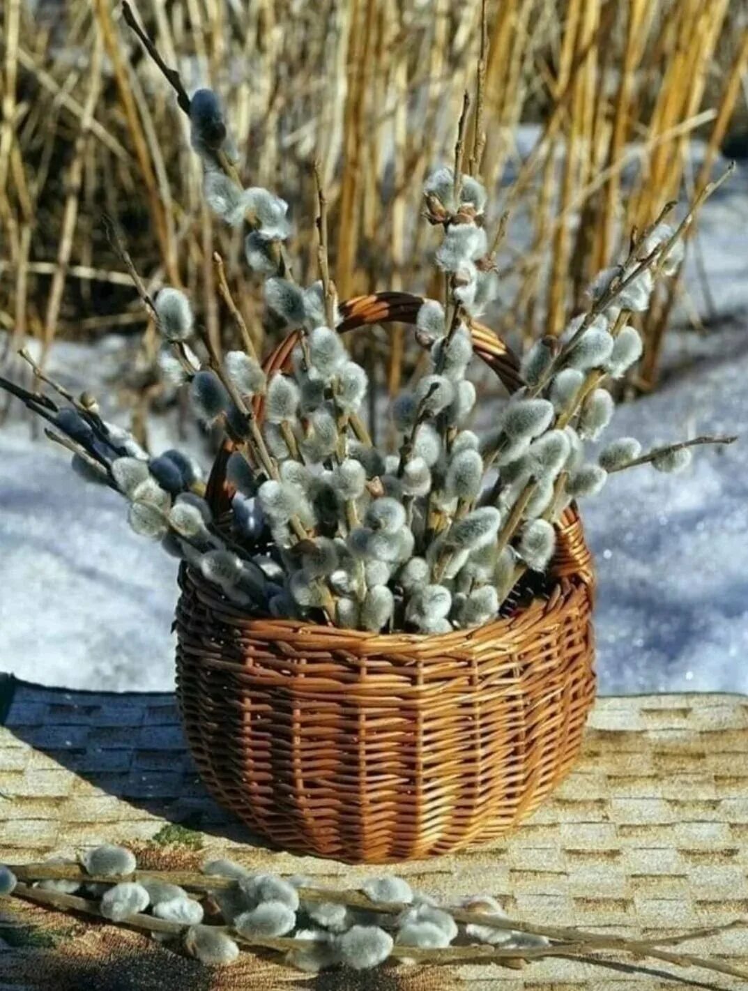 Масленица вербное воскресенье пасха. Верба Вербное. С Вербным воскресеньем. Пасха Верба. Верба на Вербное воскресенье.