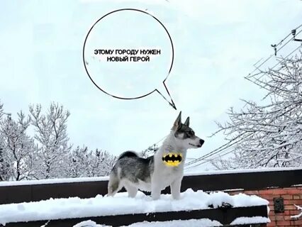 Этому городу нужен