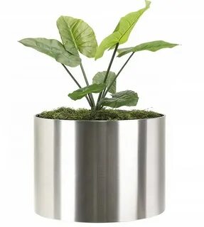 Extra plant