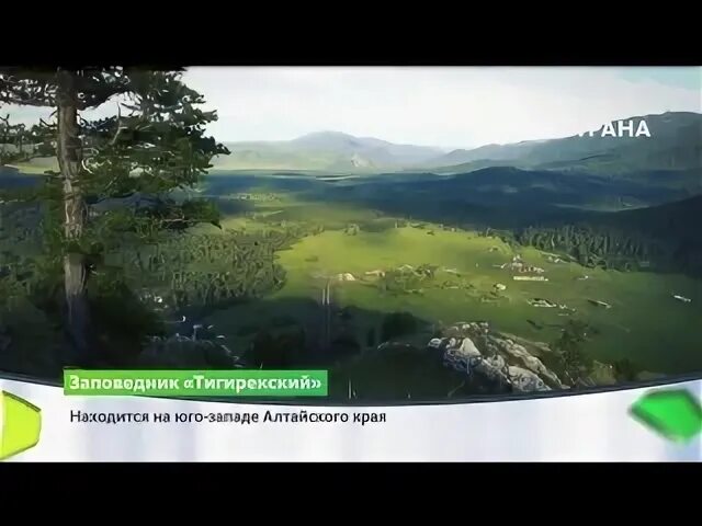 Программу заповедник. Тигирекский заповедник эмблема. тигирекский заповедник страна. тигирекский заповедник фото. тигирекский заповедник герб.