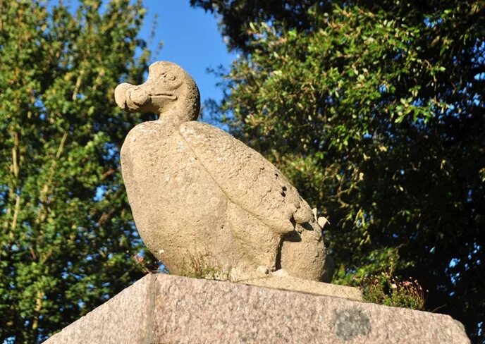 Зоопарк додо. Джерсийский зоопарк Даррелла. Джерсийский зоопарк Джеральда. Зоопарк Джеральда Даррелла на острове джерси. Джерсийский зоопарк джерси.