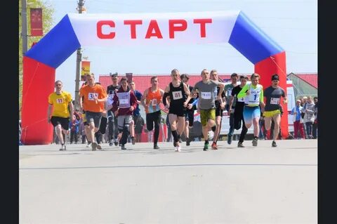 День черепаново