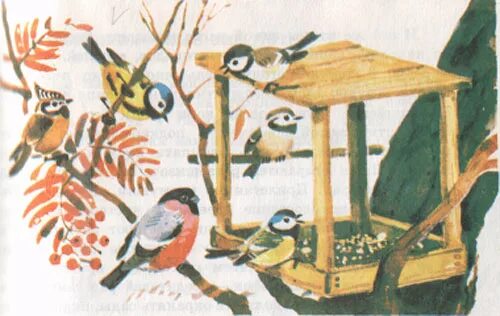Рисование птицы на кормушке. Кормушки для птиц зимой. Картина кормушка для птиц для детского сада. Птичка в кормушке рисунок. Құстар біздің досымыз сурет