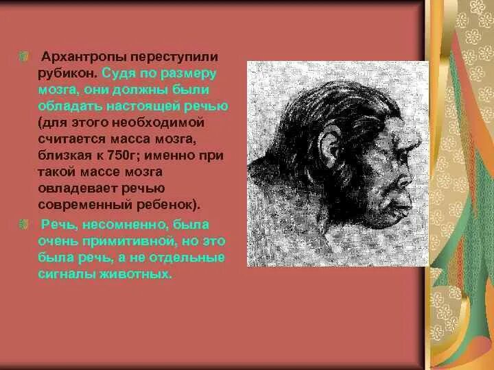 Архантропы особенности строения. Архантропы речь. Архантропы объем мозга. Древнейшие люди архантропы.