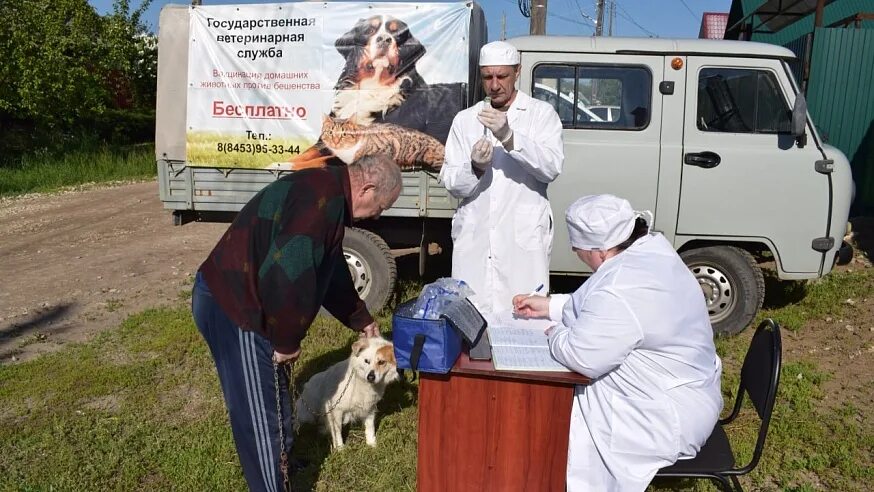 Ветеринар. Вакцинация животных. Вакцинация животных от бешенства. Ветлечебница проводит исследования животных.